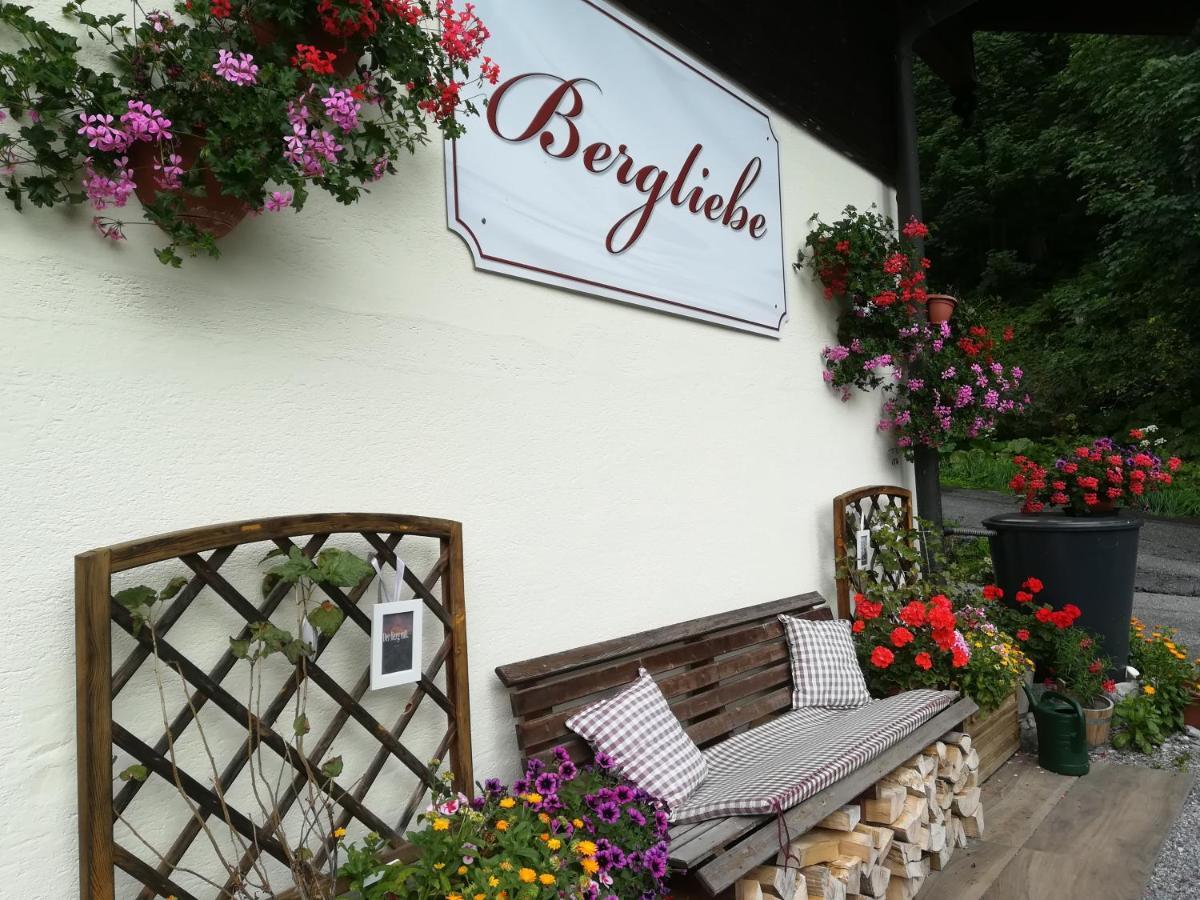 Hotel Haus Bergliebe Filzmoos Exterior foto